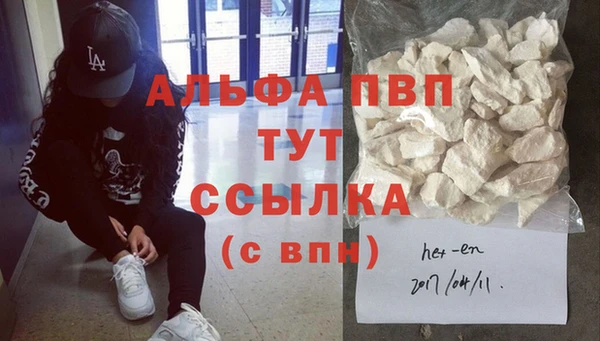 стафф Арсеньев